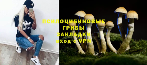 ешки Лиски