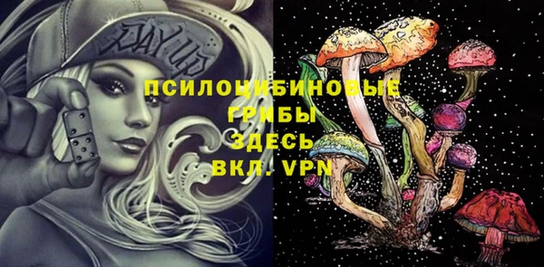 apvp Лихославль