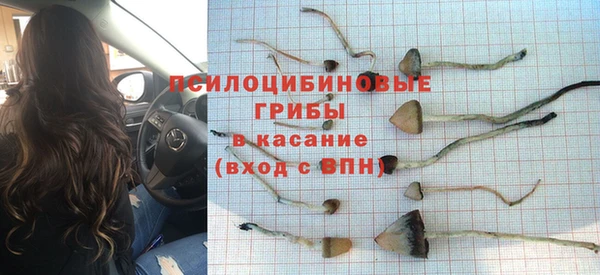 apvp Лихославль
