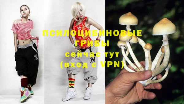 ешки Лиски